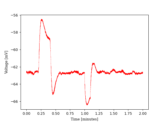 data/analysis/2023-06-08/0-0-2_t47Soma_sweeps/avrg-0-10_0-0-2_t47Soma_sweeps.png