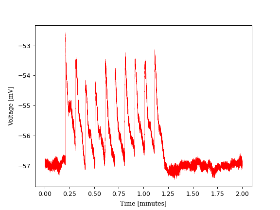 data/analysis/2023-08-07/0-0-2_t37Soma_sweeps/avrg-0-10_0-0-2_t37Soma_sweeps.png