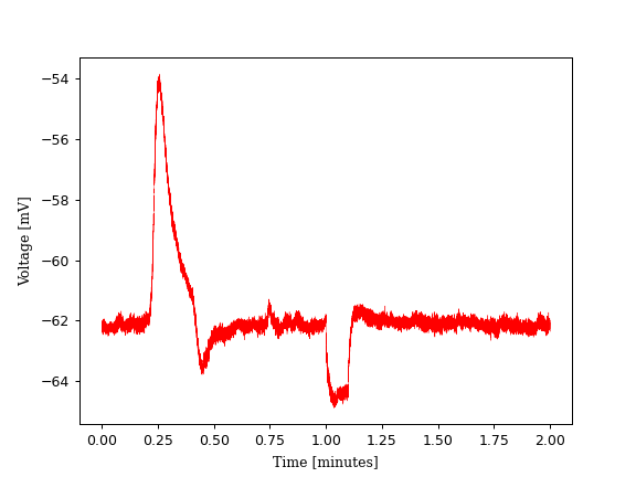 data/analysis/2024-02-19/0-0-2_t62Soma_sweeps/avrg-0-5_0-0-2_t62Soma_sweeps.png